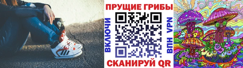 купить   Вилюйск  Галлюциногенные грибы MAGIC MUSHROOMS 
